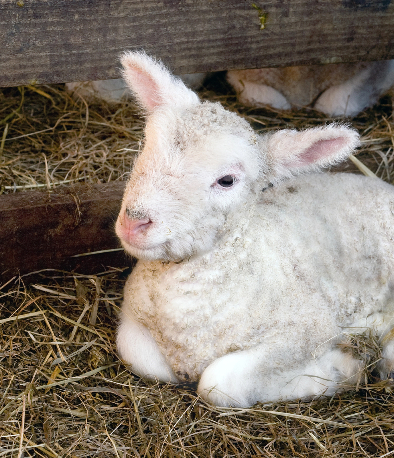 inicio_servicios_img_02