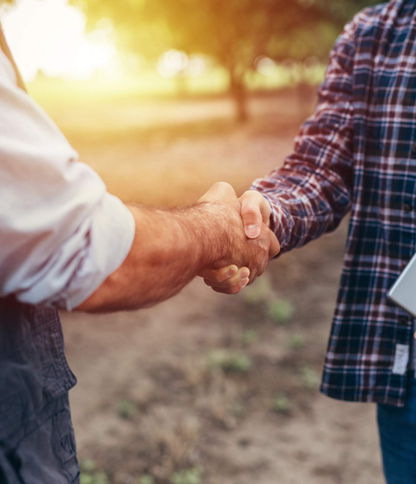 inicio_servicios_img_03