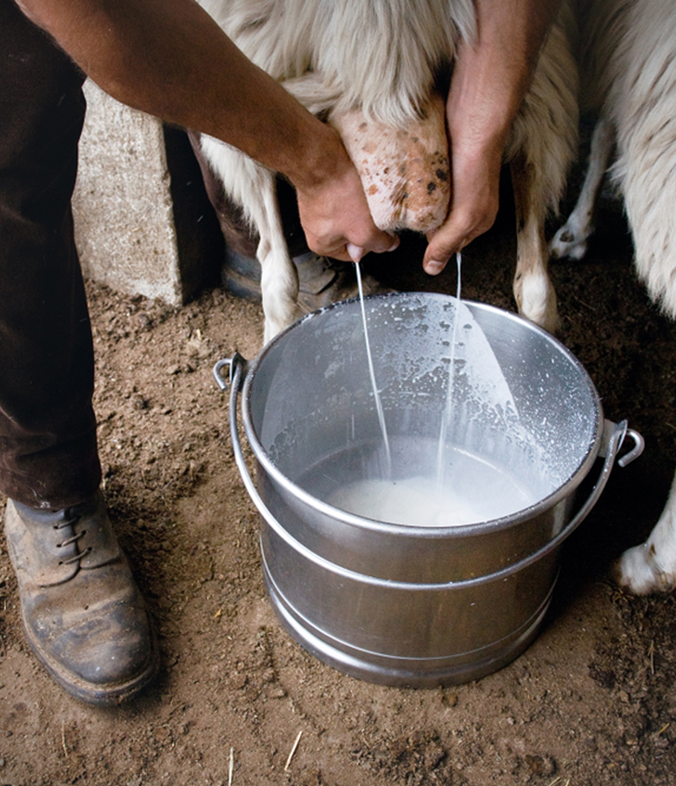 inicio_servicios_img_01